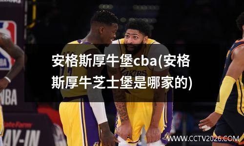 安格斯厚牛堡cba(安格斯厚牛芝士堡是哪家的)