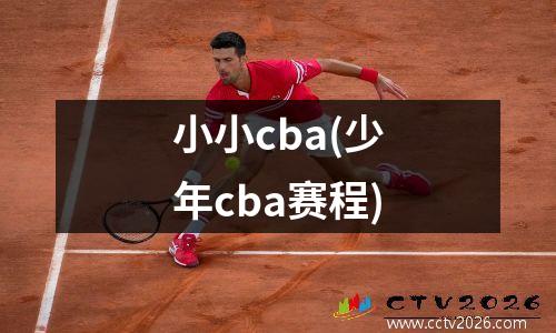 小小cba(少年cba赛程)