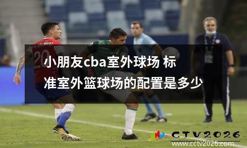 小朋友cba室外球场 标准室外篮球场的配置是多少