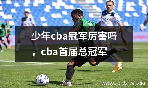 少年cba冠军厉害吗，cba首届总冠军