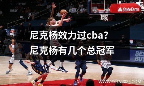 尼克杨效力过cba？尼克杨有几个总冠军