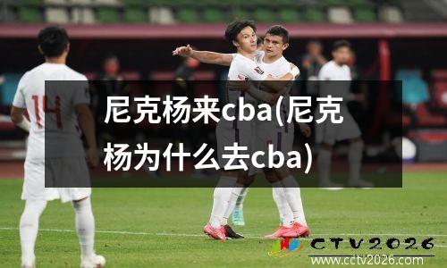 尼克杨来cba(尼克杨为什么去cba)