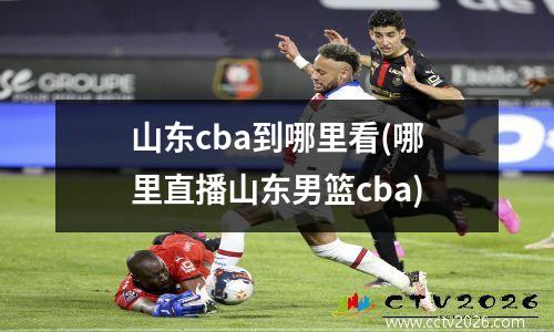 山东cba到哪里看(哪里直播山东男篮cba)