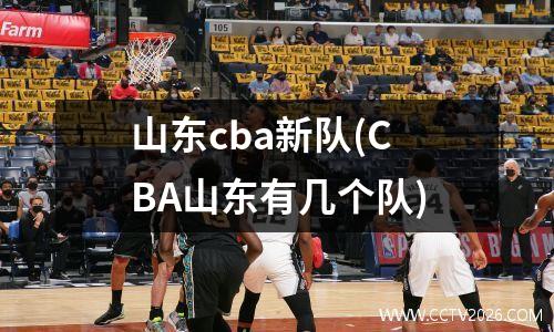 山东cba新队(CBA山东有几个队)