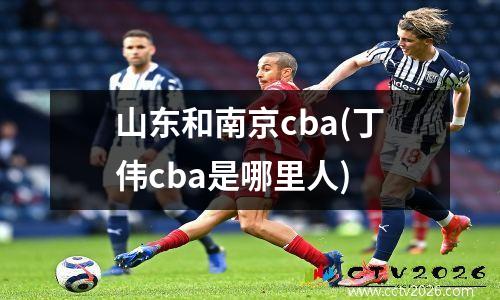 山东和南京cba(丁伟cba是哪里人)