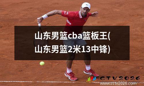山东男篮cba篮板王(山东男篮2米13中锋)