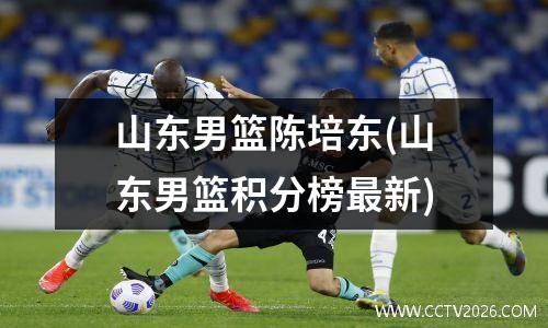 山东男篮陈培东(山东男篮积分榜最新)