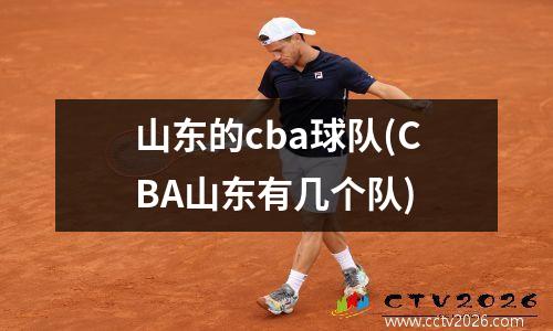 山东的cba球队(CBA山东有几个队)