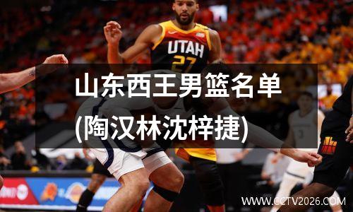 山东西王男篮名单(陶汉林沈梓捷)