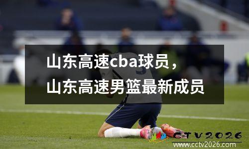 山东高速cba球员，山东高速男篮最新成员