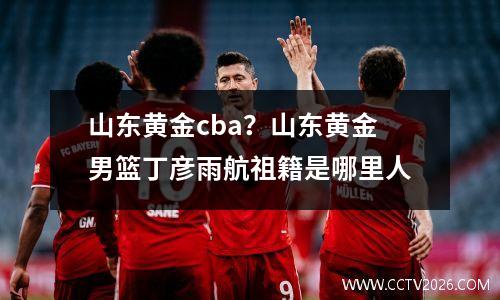 山东黄金cba？山东黄金男篮丁彦雨航祖籍是哪里人
