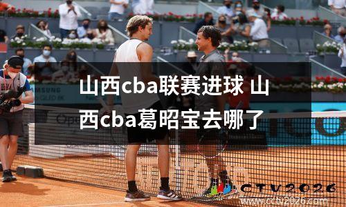 山西cba联赛进球 山西cba葛昭宝去哪了