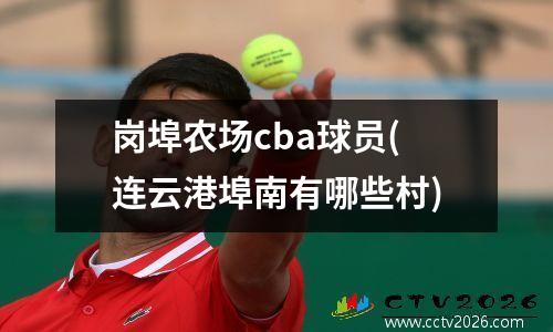 岗埠农场cba球员(连云港埠南有哪些村)