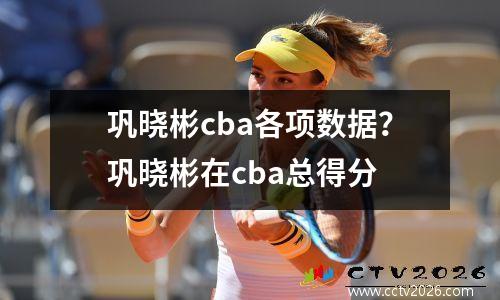 巩晓彬cba各项数据？巩晓彬在cba总得分