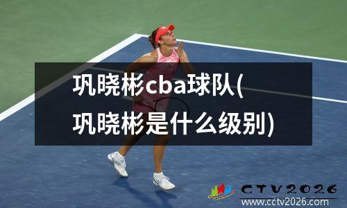 巩晓彬cba球队(巩晓彬是什么级别)