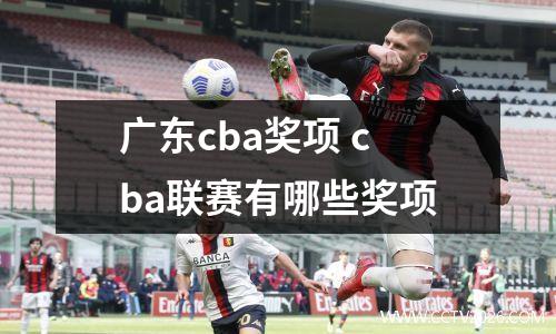 广东cba奖项 cba联赛有哪些奖项