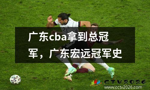 广东cba拿到总冠军，广东宏远冠军史