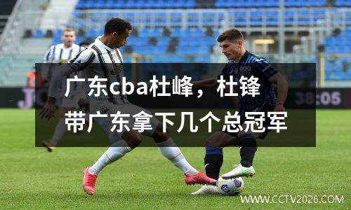 广东cba杜峰，杜锋带广东拿下几个总冠军