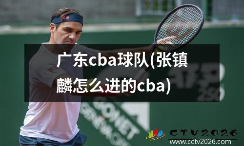 广东cba球队(张镇麟怎么进的cba)