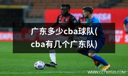 广东多少cba球队(cba有几个广东队)