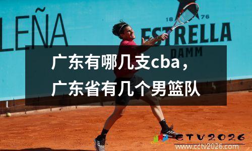 广东有哪几支cba，广东省有几个男篮队
