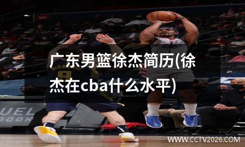 广东男篮徐杰简历(徐杰在cba什么水平)