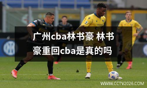 广州cba林书豪 林书豪重回cba是真的吗