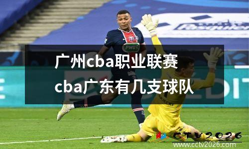 广州cba职业联赛 cba广东有几支球队