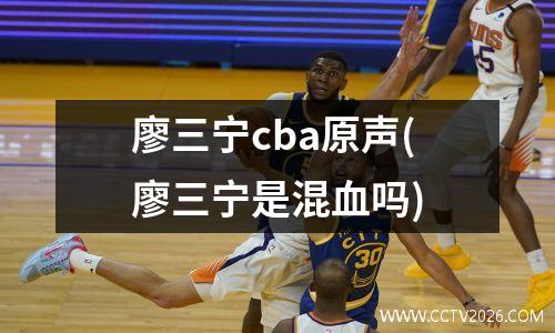 廖三宁cba原声(廖三宁是混血吗)