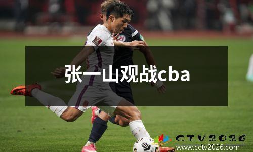张一山观战cba