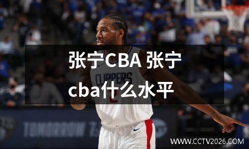 张宁CBA 张宁cba什么水平