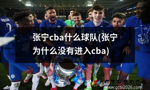 张宁cba什么球队(张宁为什么没有进入cba)