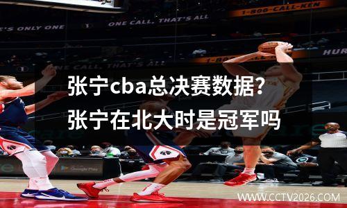 张宁cba总决赛数据？张宁在北大时是冠军吗