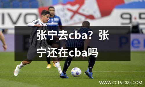 张宁去cba？张宁还在cba吗