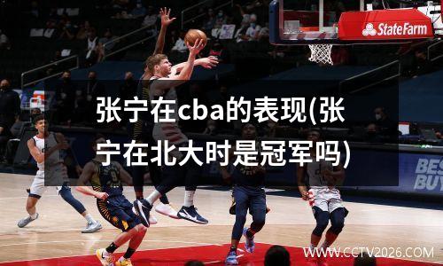 张宁在cba的表现(张宁在北大时是冠军吗)