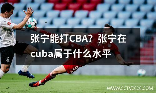 张宁能打CBA？张宁在cuba属于什么水平