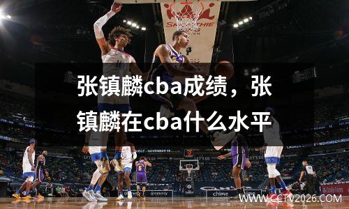 张镇麟cba成绩，张镇麟在cba什么水平