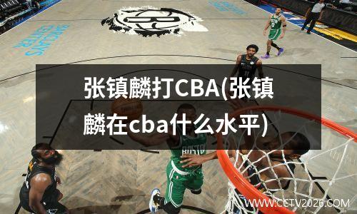 张镇麟打CBA(张镇麟在cba什么水平)