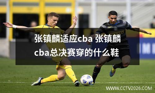 张镇麟适应cba 张镇麟cba总决赛穿的什么鞋