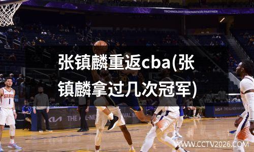 张镇麟重返cba(张镇麟拿过几次冠军)