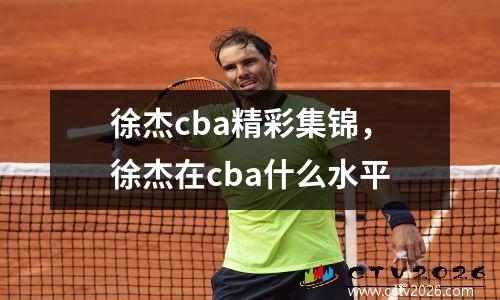 徐杰cba精彩集锦，徐杰在cba什么水平