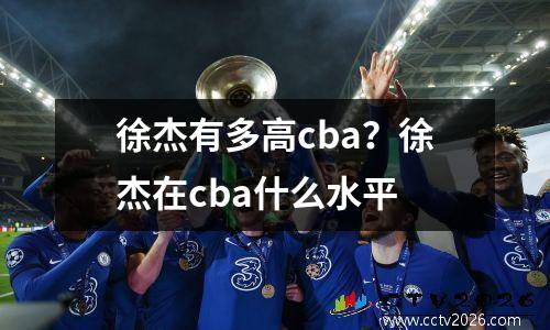 徐杰有多高cba？徐杰在cba什么水平