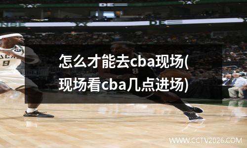 怎么才能去cba现场(现场看cba几点进场)