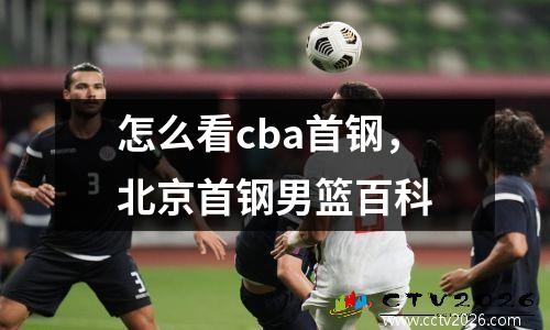 怎么看cba首钢，北京首钢男篮百科
