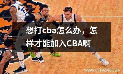 想打cba怎么办，怎样才能加入CBA啊