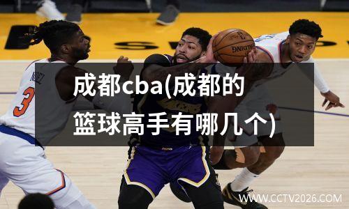 成都cba(成都的篮球高手有哪几个)