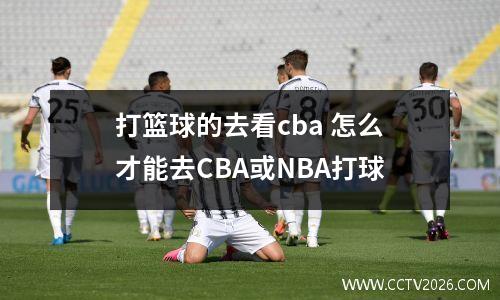 打篮球的去看cba 怎么才能去CBA或NBA打球