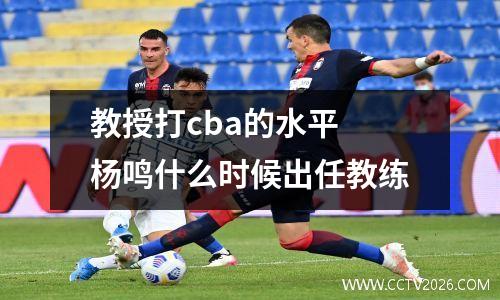 教授打cba的水平 杨鸣什么时候出任教练