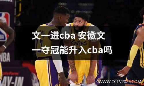 文一进cba 安徽文一夺冠能升入cba吗