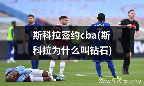 斯科拉签约cba(斯科拉为什么叫钻石)